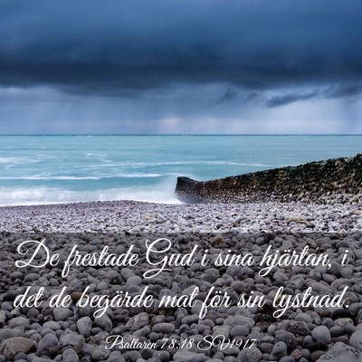 Picture 03 - Psaltaren 78:18 SV1917 - De frestade Gud i sina hjärtan, i det de - Bible Verse Picture