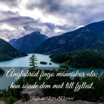 Picture 03 - Psaltaren 78:25 SV1917 - Änglabröd fingo människor äta; han sände dem - Bible Verse Picture
