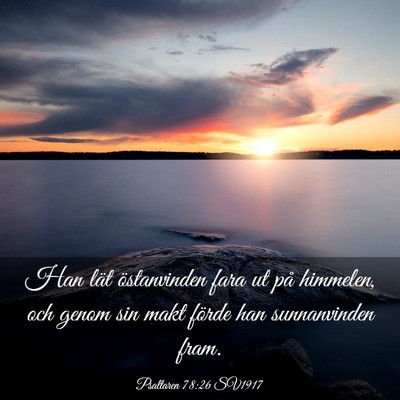 Picture 03 - Psaltaren 78:26 SV1917 - Han lät östanvinden fara ut på himmelen, och - Bible Verse Picture