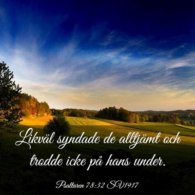 Picture 03 - Psaltaren 78:32 SV1917 - Likväl syndade de alltjämt och trodde icke på - Bible Verse Picture