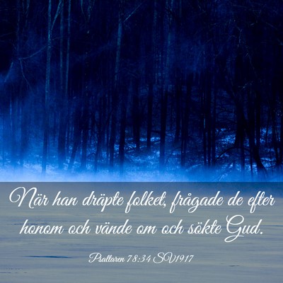 Picture 03 - Psaltaren 78:34 SV1917 - När han dräpte folket, frågade de efter honom - Bible Verse Picture
