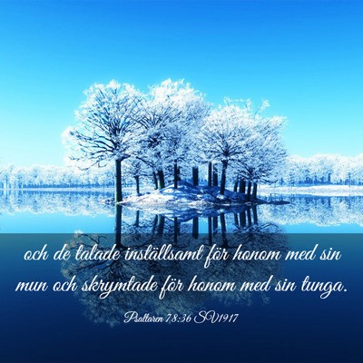 Picture 03 - Psaltaren 78:36 SV1917 - och de talade inställsamt för honom med sin mun - Bible Verse Picture