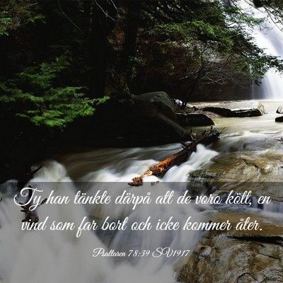 Picture 03 - Psaltaren 78:39 SV1917 - Ty han tänkte därpå att de voro kött, en vind - Bible Verse Picture