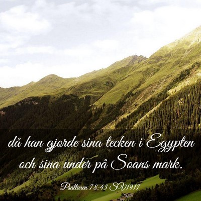 Picture 03 - Psaltaren 78:43 SV1917 - då han gjorde sina tecken i Egypten och sina - Bible Verse Picture