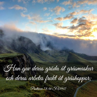 Picture 03 - Psaltaren 78:46 SV1917 - Han gav deras gröda åt gräsmaskar och deras - Bible Verse Picture