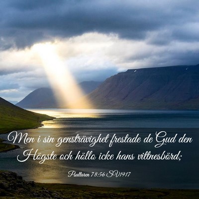 Picture 03 - Psaltaren 78:56 SV1917 - Men i sin gensträvighet frestade de Gud den - Bible Verse Picture