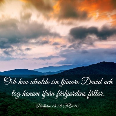 Picture 03 - Psaltaren 78:70 SV1917 - Och han utvalde sin tjänare David och tog honom - Bible Verse Picture