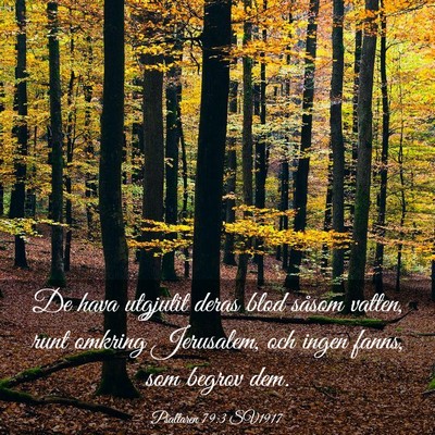 Picture 03 - Psaltaren 79:3 SV1917 - De hava utgjutit deras blod såsom vatten, runt - Bible Verse Picture