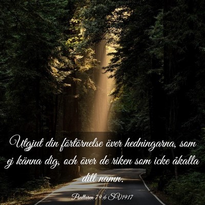 Picture 03 - Psaltaren 79:6 SV1917 - Utgjut din förtörnelse över hedningarna, som - Bible Verse Picture
