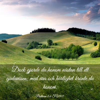 Picture 03 - Psaltaren 8:6 SV1917 - Dock gjorde du honom nästan till ett gudaväsen; - Bible Verse Picture