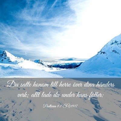 Picture 03 - Psaltaren 8:7 SV1917 - Du satte honom till herre över dina händers - Bible Verse Picture