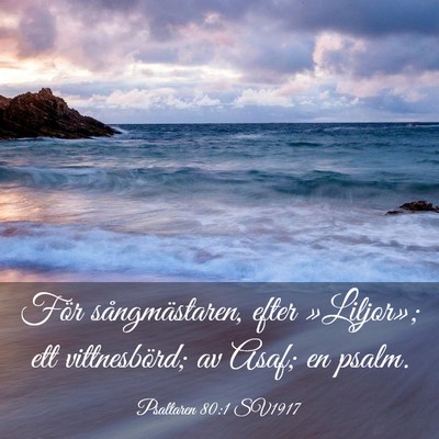 Picture 03 - Psaltaren 80:1 SV1917 - För sångmästaren, efter »Liljor»; ett - Bible Verse Picture