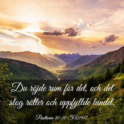 Picture 03 - Psaltaren 80:10 SV1917 - Du röjde rum för det, och det slog rötter och - Bible Verse Picture