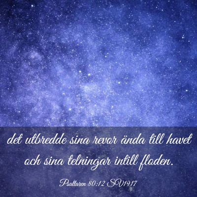 Picture 03 - Psaltaren 80:12 SV1917 - det utbredde sina revor ända till havet och sina - Bible Verse Picture