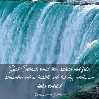 Picture 03 - Psaltaren 80:15 SV1917 - Gud Sebaot, vänd åter, skåda ned från - Bible Verse Picture
