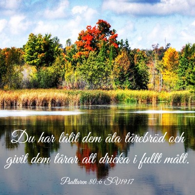 Picture 03 - Psaltaren 80:6 SV1917 - Du har låtit dem äta tårebröd och givit dem - Bible Verse Picture
