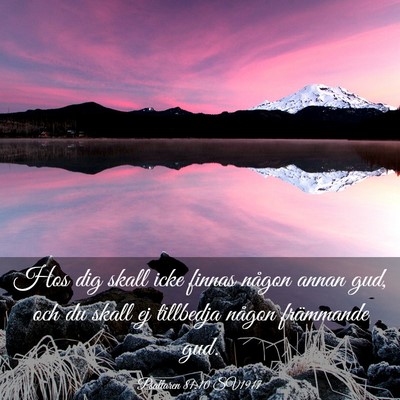Picture 03 - Psaltaren 81:10 SV1917 - Hos dig skall icke finnas någon annan gud, och - Bible Verse Picture