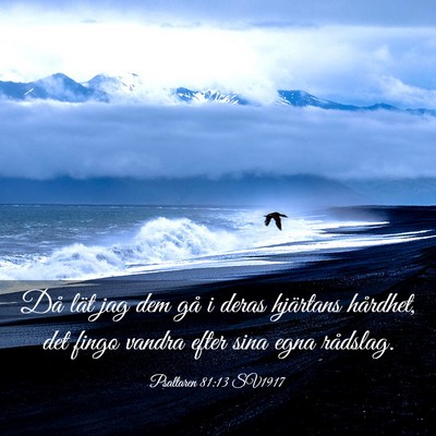 Picture 03 - Psaltaren 81:13 SV1917 - Då lät jag dem gå i deras hjärtans hårdhet, - Bible Verse Picture
