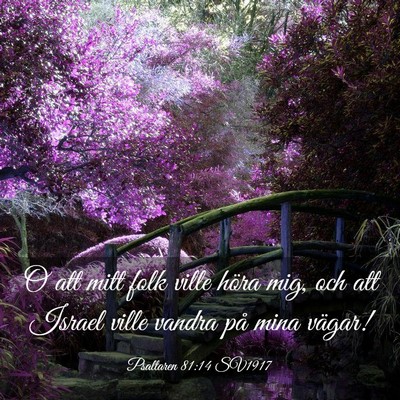 Picture 03 - Psaltaren 81:14 SV1917 - O att mitt folk ville höra mig, och att Israel - Bible Verse Picture