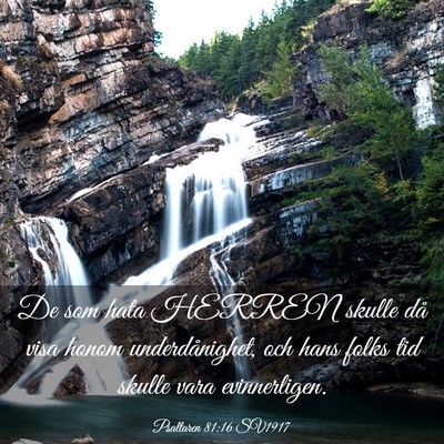 Picture 03 - Psaltaren 81:16 SV1917 - De som hata HERREN skulle då visa honom - Bible Verse Picture