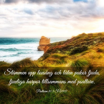Picture 03 - Psaltaren 81:3 SV1917 - Stämmen upp lovsång och låten pukor ljuda, - Bible Verse Picture