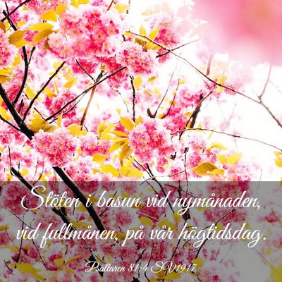 Picture 03 - Psaltaren 81:4 SV1917 - Stöten i basun vid nymånaden, vid fullmånen, - Bible Verse Picture