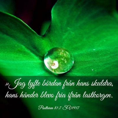 Picture 03 - Psaltaren 81:7 SV1917 - »Jag lyfte bördan från hans skuldra, hans - Bible Verse Picture