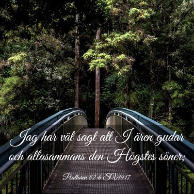 Picture 03 - Psaltaren 82:6 SV1917 - Jag har väl sagt att I ären gudar och - Bible Verse Picture