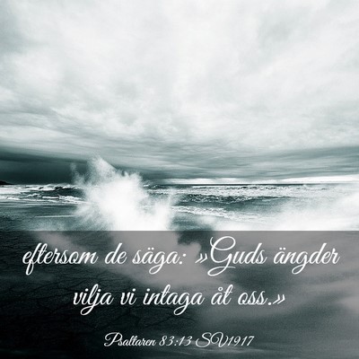 Picture 03 - Psaltaren 83:13 SV1917 - eftersom de säga: »Guds ängder vilja vi intaga - Bible Verse Picture