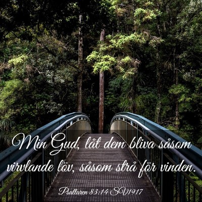 Picture 03 - Psaltaren 83:14 SV1917 - Min Gud, låt dem bliva såsom virvlande löv, - Bible Verse Picture