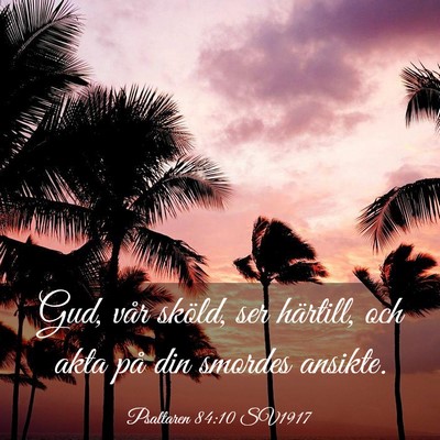 Picture 03 - Psaltaren 84:10 SV1917 - Gud, vår sköld, ser härtill, och akta på din - Bible Verse Picture
