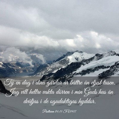 Picture 03 - Psaltaren 84:11 SV1917 - Ty en dag i dina gårdar är bättre än eljest - Bible Verse Picture