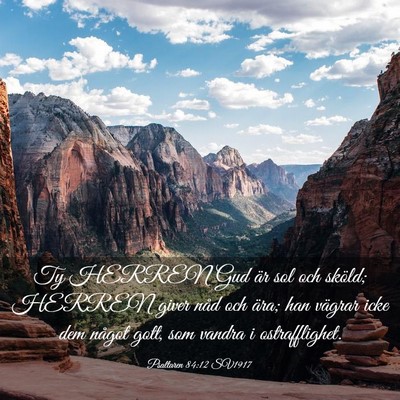 Picture 03 - Psaltaren 84:12 SV1917 - Ty HERREN Gud är sol och sköld; HERREN giver - Bible Verse Picture