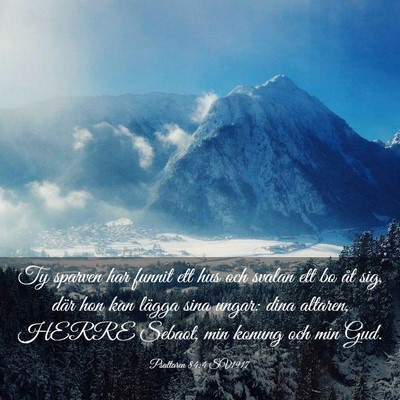 Picture 03 - Psaltaren 84:4 SV1917 - Ty sparven har funnit ett hus och svalan ett bo - Bible Verse Picture