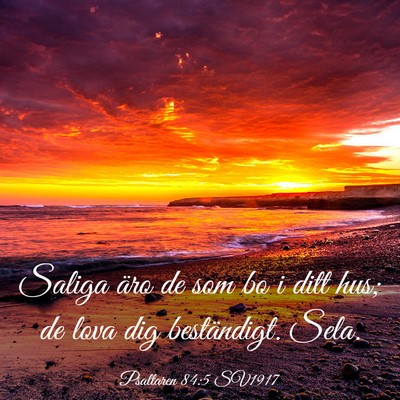 Picture 03 - Psaltaren 84:5 SV1917 - Saliga äro de som bo i ditt hus; de lova dig - Bible Verse Picture