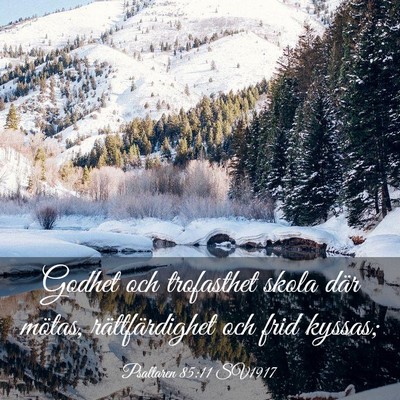 Picture 03 - Psaltaren 85:11 SV1917 - Godhet och trofasthet skola där mötas, - Bible Verse Picture