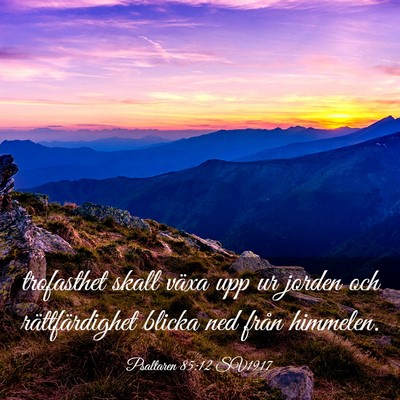 Picture 03 - Psaltaren 85:12 SV1917 - trofasthet skall växa upp ur jorden och - Bible Verse Picture