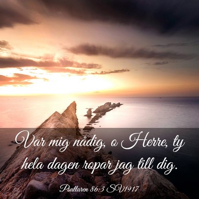 Picture 03 - Psaltaren 86:3 SV1917 - Var mig nådig, o Herre, ty hela dagen ropar jag - Bible Verse Picture