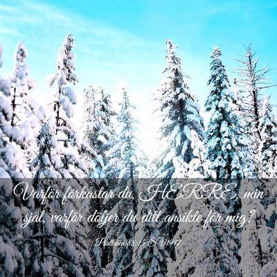 Picture 03 - Psaltaren 88:15 SV1917 - Varför förkastar du, HERRE, min själ, varför - Bible Verse Picture