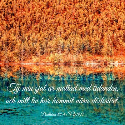 Picture 03 - Psaltaren 88:4 SV1917 - Ty min själ är mättad med lidanden, och mitt - Bible Verse Picture