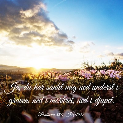 Picture 03 - Psaltaren 88:7 SV1917 - Ja, du har sänkt mig ned underst i graven, ned i - Bible Verse Picture