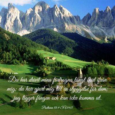 Picture 03 - Psaltaren 88:9 SV1917 - Du har drivit mina förtrogna långt bort ifrån - Bible Verse Picture