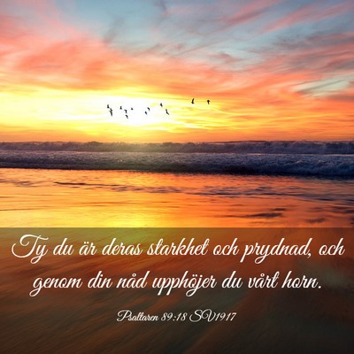 Picture 03 - Psaltaren 89:18 SV1917 - Ty du är deras starkhet och prydnad, och genom - Bible Verse Picture