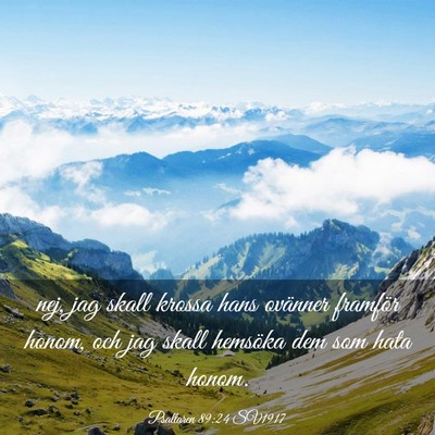 Picture 03 - Psaltaren 89:24 SV1917 - nej, jag skall krossa hans ovänner framför - Bible Verse Picture