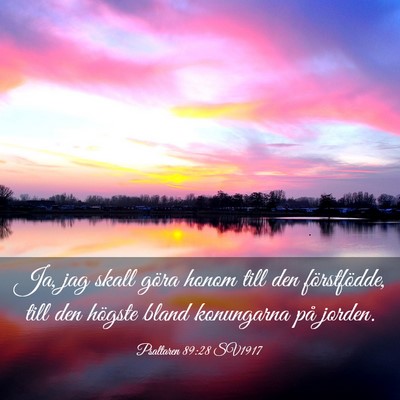 Picture 03 - Psaltaren 89:28 SV1917 - Ja, jag skall göra honom till den förstfödde, - Bible Verse Picture