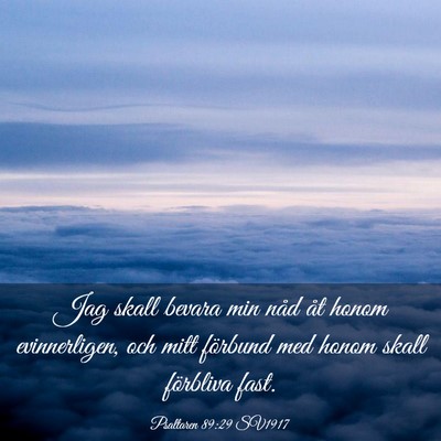 Picture 03 - Psaltaren 89:29 SV1917 - Jag skall bevara min nåd åt honom evinnerligen, - Bible Verse Picture