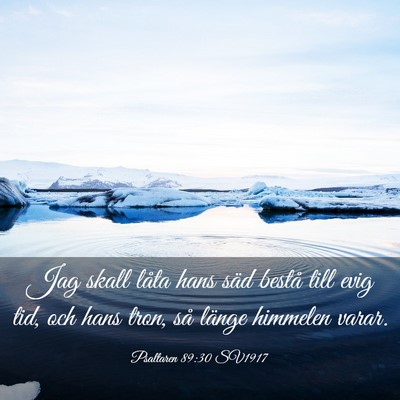 Picture 03 - Psaltaren 89:30 SV1917 - Jag skall låta hans säd bestå till evig tid, - Bible Verse Picture