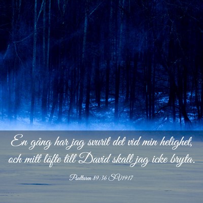 Picture 03 - Psaltaren 89:36 SV1917 - En gång har jag svurit det vid min helighet, och - Bible Verse Picture