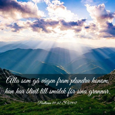 Picture 03 - Psaltaren 89:42 SV1917 - Alla som gå vägen fram plundra honom, han har - Bible Verse Picture