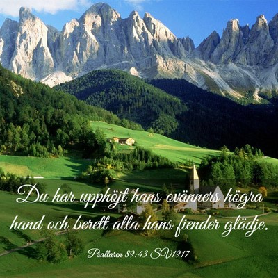 Picture 03 - Psaltaren 89:43 SV1917 - Du har upphöjt hans ovänners högra hand och - Bible Verse Picture